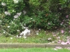May 24