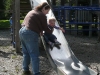 LiliBee likes to slide.