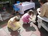 CareBear and cousin H look for ants.
