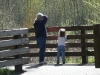 CareBear and Grams check out the pond.