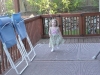 Bubbles!
