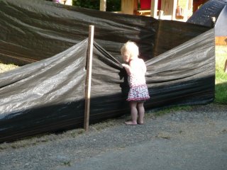 LiliBee checks on the lawn project.