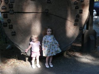 Pretty dress.