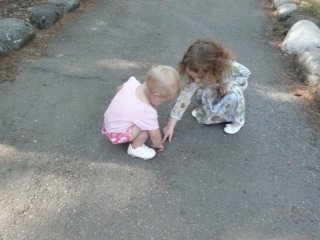 Look! A bug!
