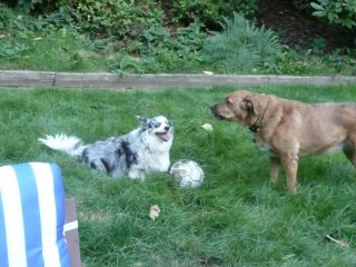 Maisy and Lucy play soccer. 