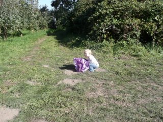 LiliBee checks the apple haul.