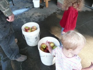 The fruits of our labor.
