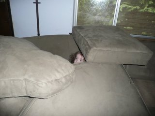 CareBear peeks.