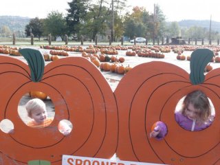 Pumpkin girls.
