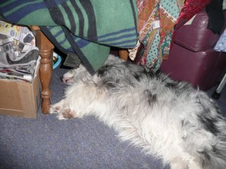 Maisy.