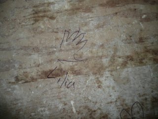 LiliBee's hands.