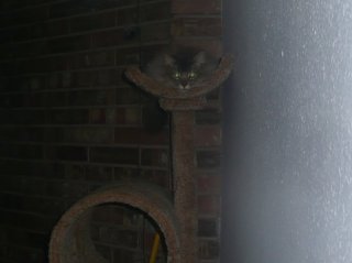 Radio keeps an eye on everything.