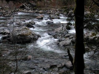 olallie01.jpg