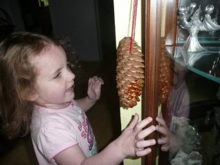 CareBear's sparkly pine-cone.