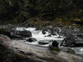 Rapids