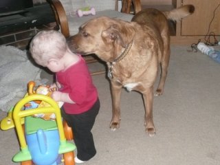Lucy smells a snack.