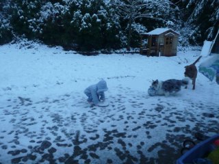 More snow!