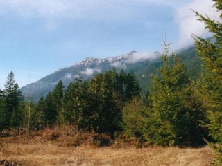 The Brother's Wilderness