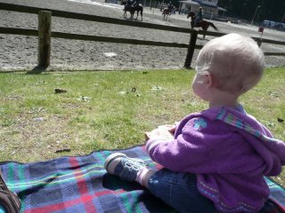LiliBee watches the horses.