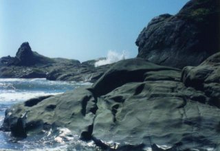 Kalaloch Rocks