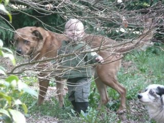 LiliBee and Lucy are hiding.