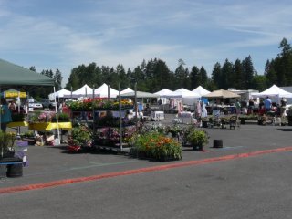The new farmer's market.