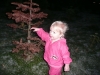 LiliBee picks the wrong tree.