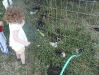 CareBear feeds the ducks.