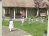 Bubbles!