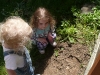 Planting.