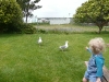 Seaside 2010