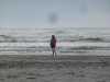 Seaside 2010
